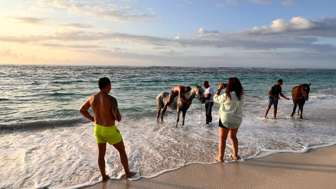 Capture the best photos in San Andres with this sunrise horseback ride!