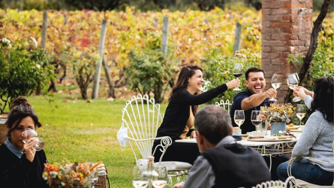 Get to know High Quality and Internationally Award Wineries in Mendoza!