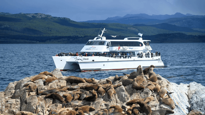 Beagle Channel boat tour in Ushuaia: lighthouse and Patagonia vistas Beagle Channel boat tour in Ushuaia: lighthouse and Patagonia vistas