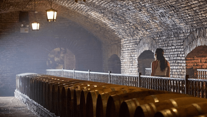 The Concha y Toro wineries keep the secret of one of the best wines in the world El Casillero del Diablo!